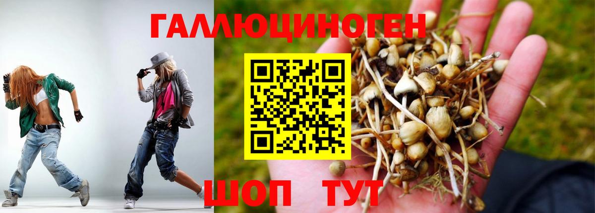 Галлюциногенные грибы ЛСД Белово